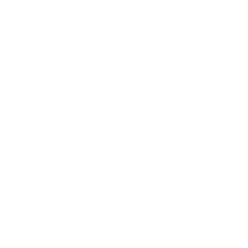 SICHERHEITSDIENST OLTEN